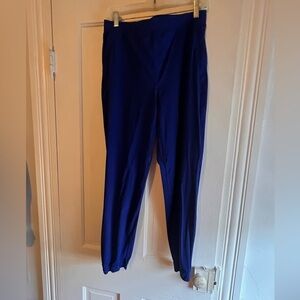 lululemon athletica Royal Blue Track Joggers